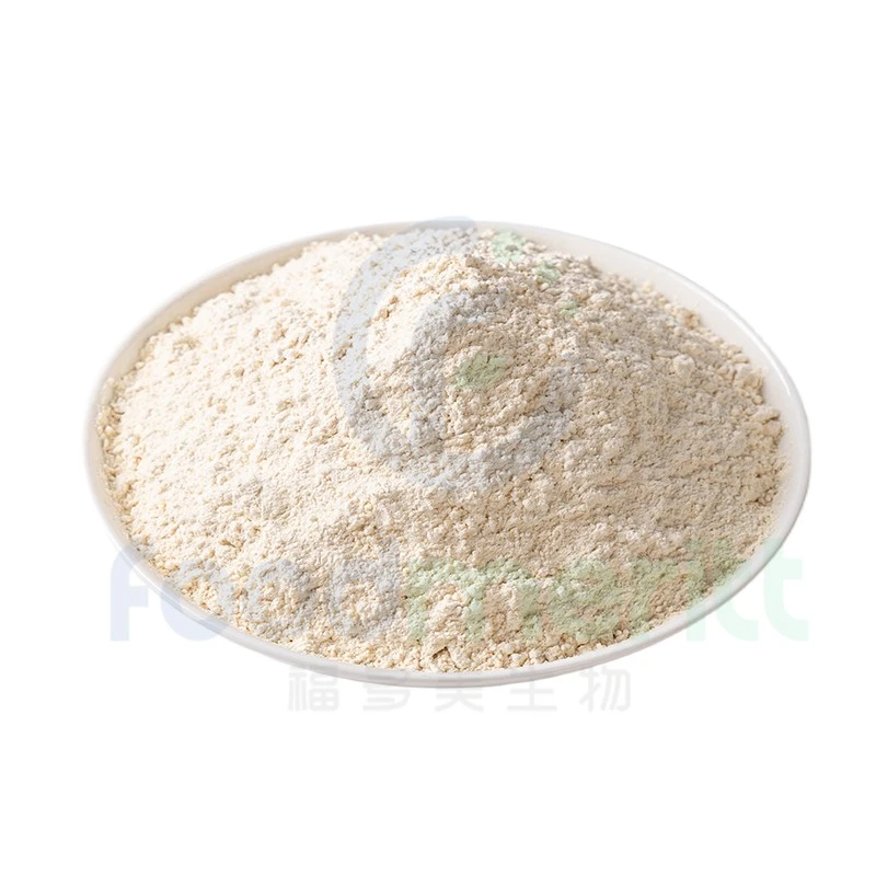 پودر سیر 80-100 مش